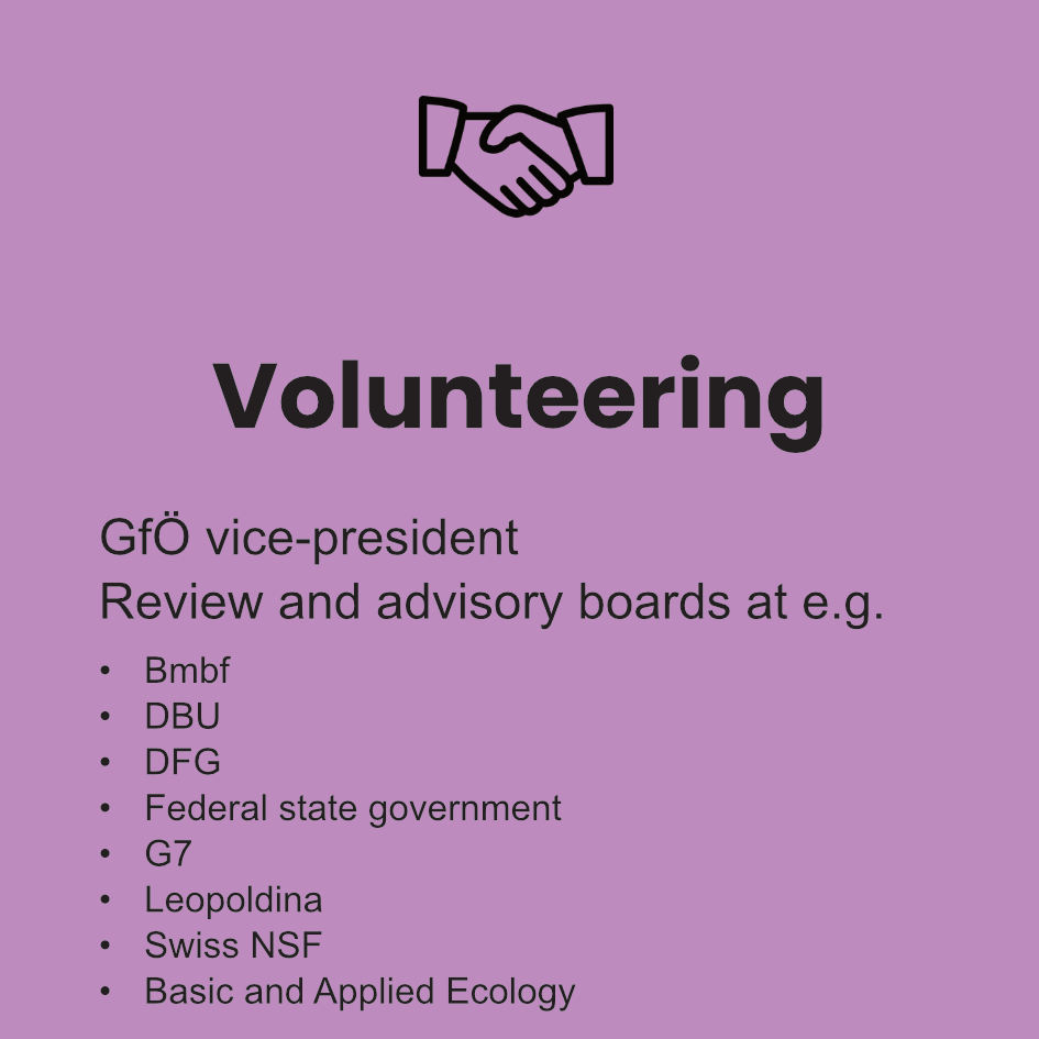Alexandra-Maria Klein's volunteering summary